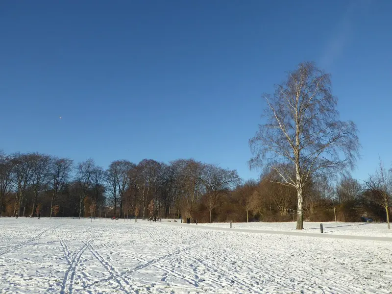 Faelledparken in Osterbro in winter